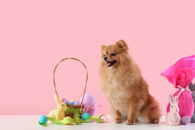Paskalya yumurtaları pembe arka planda duran şirin Pomeranya köpeği.