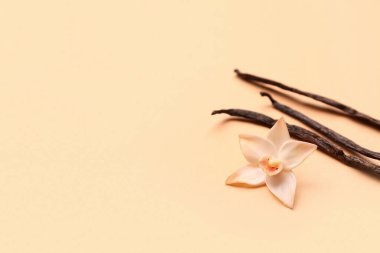 Güzel vanilya çiçeği ve bej arkaplanda çubuklar