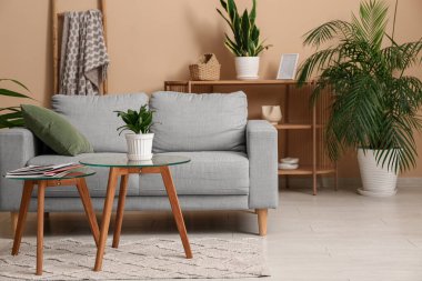 Gri kanepesi, çiçekleri, sehpası ve raf ünitesi olan oturma odasının içinde.