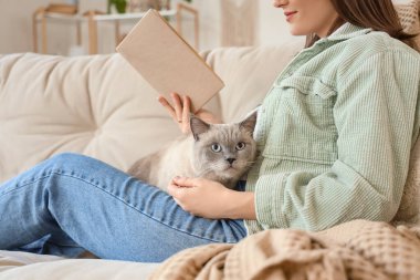 Şirin İngiliz Shorthair kedisi olan genç bir kadın evdeki kanepede kitap okuyor.
