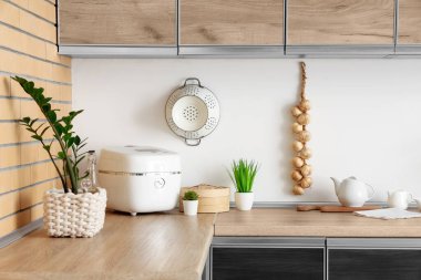 Ev bitkileri ve çoklu pişirici mutfaktaki masada.