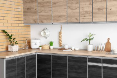 Modern mutfağın içinde ev bitkileri ve çoklu pişirici var.