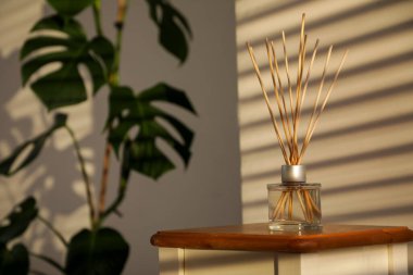 Aroma kamış ayırıcı odadaki masada. Yakın çekim.