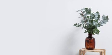 Okaliptüs dalları vazoda beyaz duvarın yanındaki merdiven üzerinde. Tasarım için pankart