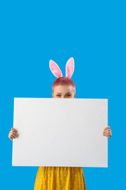 Young woman with bunny ears and blank poster on blue background. Easter celebration clipart