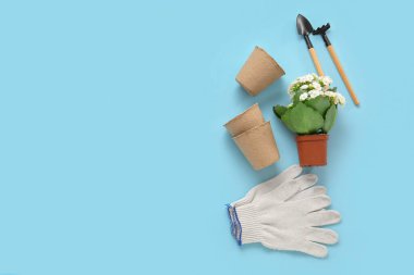 Çiçekli saksılar, eldivenler, kürek ve tırmık mavi arka planda