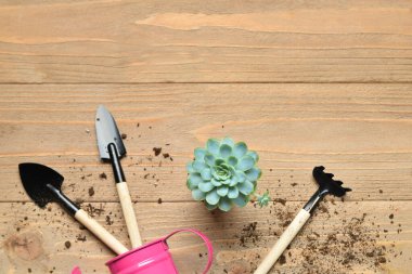 Bahçe tırmığı, kürek, su kovası ve ahşap arka planda bitki.