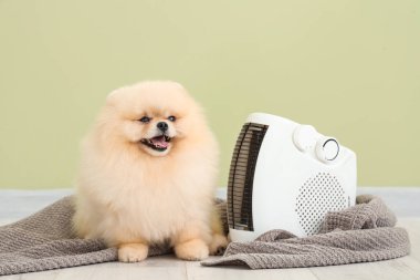 Yeşil duvarın yanında ekose ve elektrikli ısıtıcısı olan şirin Pomeranya tükürüğü.