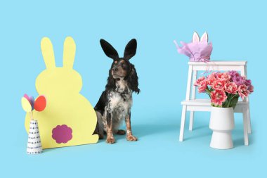 Güzel laleli tavşan kulaklı şirin cocker spaniel Paskalya kâğıdı yumurta ve mavi arka planda tavşan