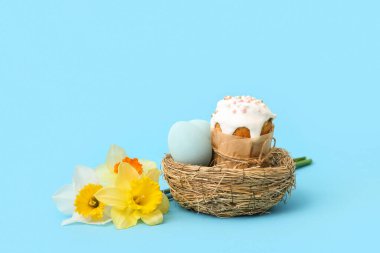 Paskalya pastası, yuvada boyanmış yumurtalar ve mavi arka planda narsislik, yakın plan.