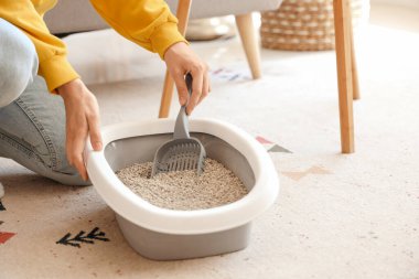 Evde kedi kumu kutusunu temizleyen genç bir kadın, yakın plan.