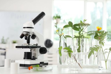 Modern mikroskop ve test tüpleri Biyoloji sınıfındaki raflarda, yakın plan