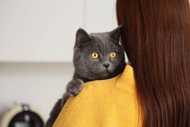 Sonbahar günü mutfakta sevimli İngiliz kedisi olan genç bir kadın, yakın plan.