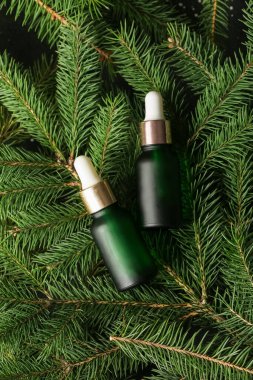 Yeşil dallar üzerinde bir şişe kozalaklı koni yağı.