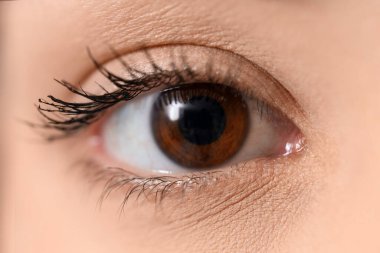 Kahverengi gözlü genç kadının yüzü, yakın çekim.