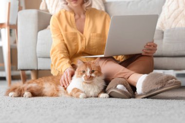 Evde dizüstü bilgisayar kullanan yumuşak terlikli güzel bir kadın.