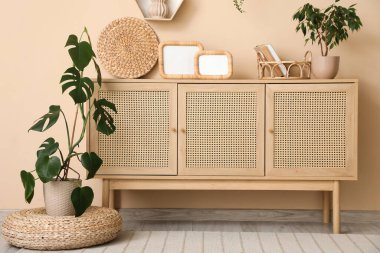 Oturma odasının içinde çekmeceler ve bej duvarın yanında bitkiler var.