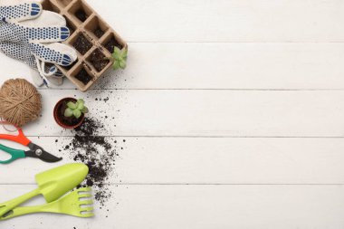 Beyaz ahşap arka planda bahçıvanlık ve fidanlık araçları. Üst görünüm