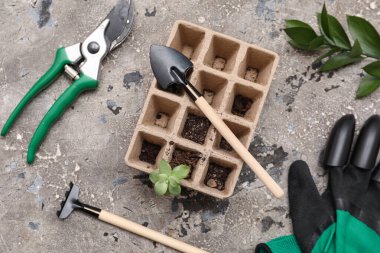 Bahçıvanlık malzemeleri ve tohum tepsisi ve gri grunge arka planda fidanlık. Yakın çekim.