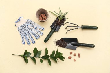 Bej arka planda bitki yetiştirme malzemeleri. Üst görünüm