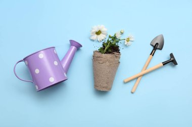 Mavi arka planda kasımpatı çiçekleri olan bahçe malzemeleri. Üst görünüm