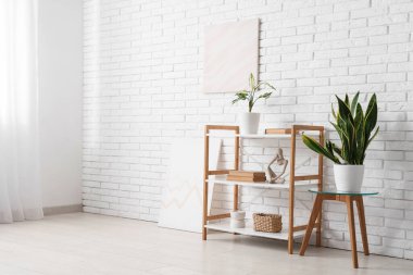 Raflarda kitaplar, ev bitkileri ve heykelcikler beyaz tuğla duvarın yanında.