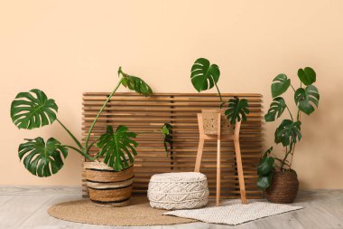 Katlanan ekran ve odada bej duvarın yanındaki Monstera bitkileri.