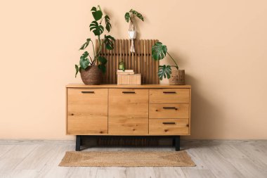 Bej duvarın yanındaki çekmecelerde farklı Monstera bitkileri var.