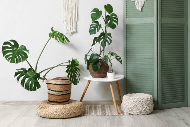 Katlanan ekran, masa ve Monstera çiçekleri beyaz duvarın yanında.