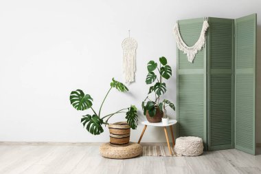 Katlanan ekran, masa ve Monstera çiçekleri beyaz duvarın yanında.