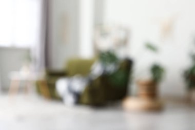 Oturma odasının bulanık manzarası, kanepe ve beyaz duvarın yanındaki bitkiler.