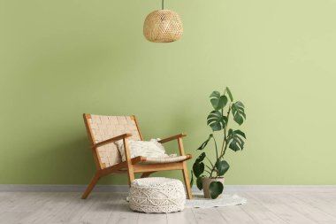 Canavar bitkisi, puf ve koltuk yeşil duvarın yanında.