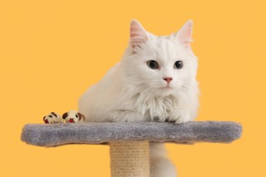 Sevimli beyaz kedi ve oyuncak fareler sarı arka planda kazıma kazıma kazığı üzerinde