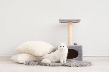 Kazı tahtası ve ışık duvarının yanında yastıkları olan sevimli beyaz kedi.