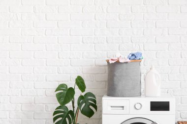 Modern çamaşır makinesi, çamaşır sepeti ve banyoda Monstera bitkisi.