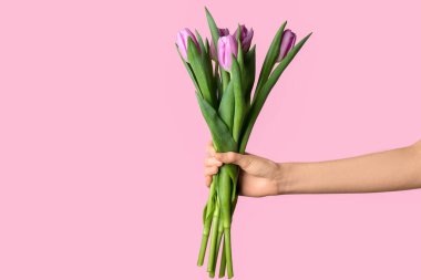 Pembe arka planda bir buket güzel lale çiçeğiyle.