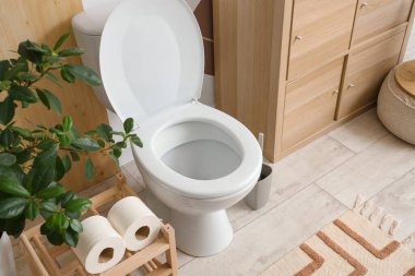 Tuvaletin içinde klozet, ayağa kalk ve klozet