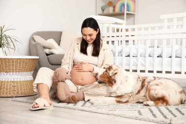 Genç, mutlu, hamile bir kadın, şirin bir Avustralya çoban köpeği ve oyuncağıyla çocuk odasında yerde oturuyor.