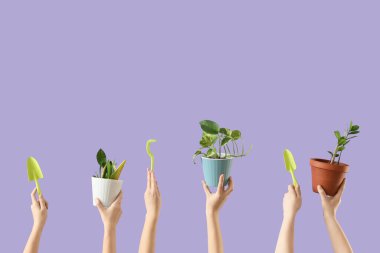 Bahçe aletleri ve leylak arka planda bitkiler olan kadın elleri