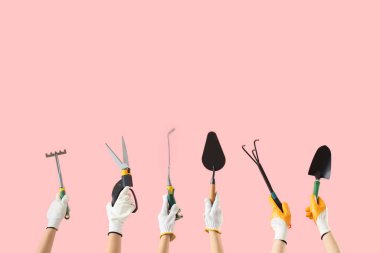 Pembe arka planda bahçıvanlık aletleri olan kadın elleri