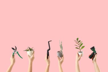 Bahçe aletleri ve pembe arka planda bitkileri olan kadın elleri