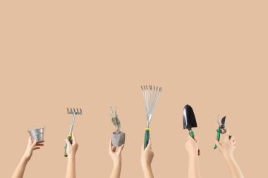 Bahçe aletleriyle kadın elleri ve bej arka planda kaktüs.