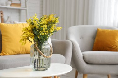 Oturma odasındaki masada mimoza çiçekleri olan vazo, yakın plan.