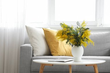 Mimoza çiçekli vazo ve dergi oturma odasındaki kanepenin yanında.