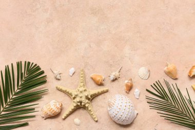 Bej rengi grunge arka planda deniz yıldızı ve palmiye yapraklı deniz kabukları