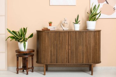 Dolgun bitkilerle dolu çekmeceler ve odada bej duvarın yanında kitaplar.