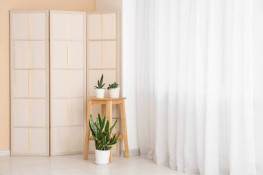 Odadaki ışık perdesinin yanında bitkilerle ve katlanan perdeyle dışkı