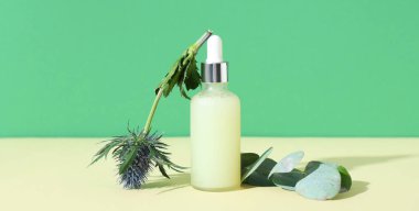 Bir şişe temel yağ, okaliptüs dalı ve renk masasında çiçek.