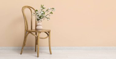 Bej duvarın yanındaki tahta sandalyede vazoda çiçek açan ağaç dalları. Tasarım için pankart