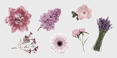 Işık arkaplanda güzel çiçekler.